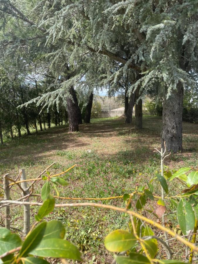 Trullo Trullallero Martina Franca Eksteriør bilde