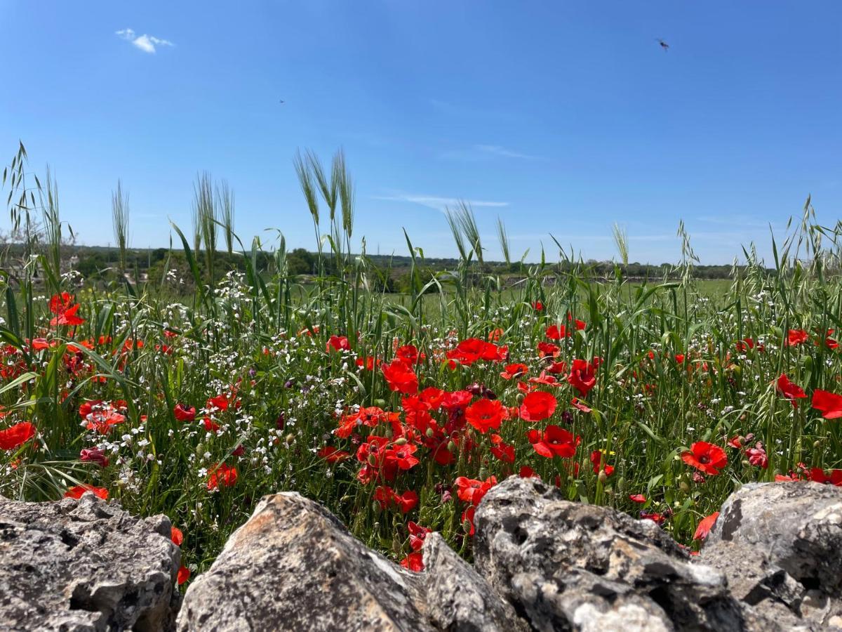 Trullo Trullallero Martina Franca Eksteriør bilde