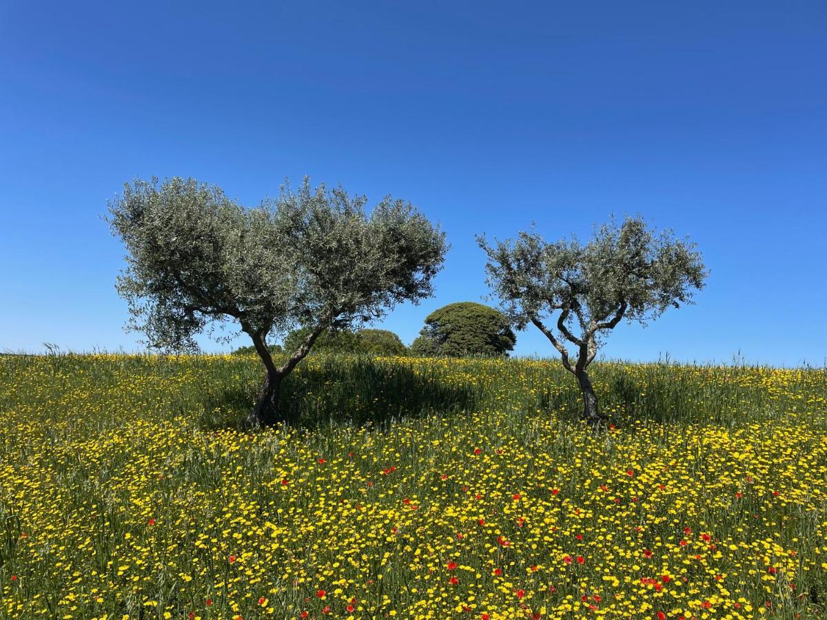 Trullo Trullallero Martina Franca Eksteriør bilde