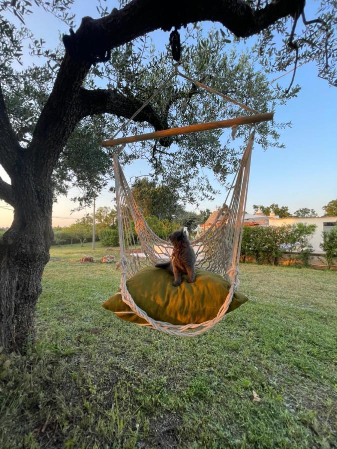 Trullo Trullallero Martina Franca Eksteriør bilde