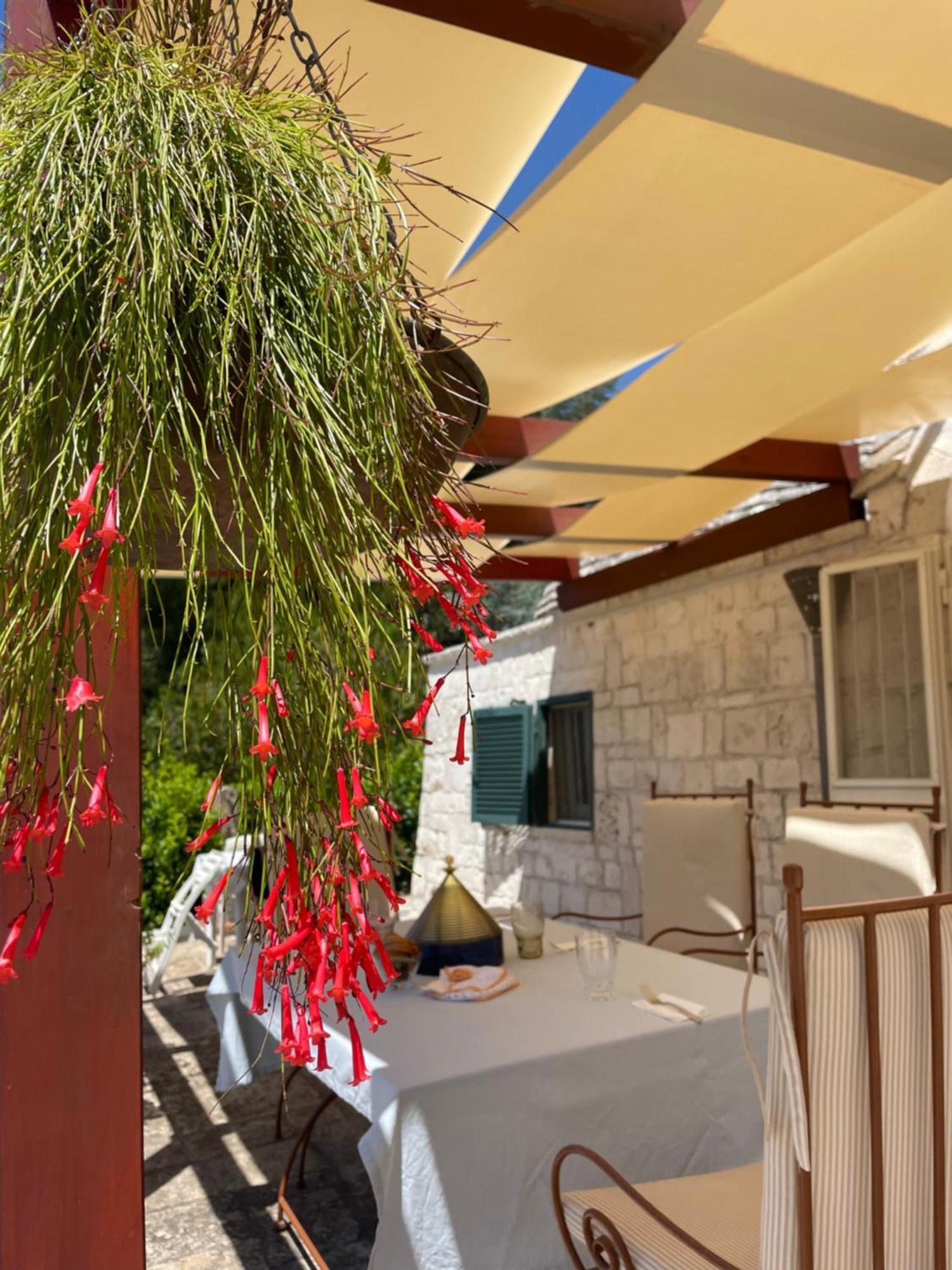 Trullo Trullallero Martina Franca Eksteriør bilde